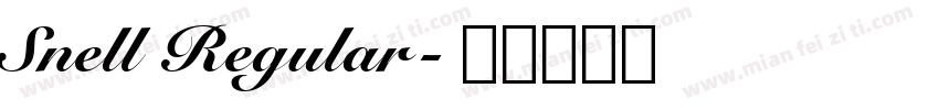 Snell Regular字体转换